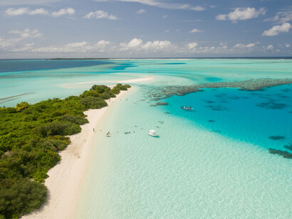 No sé cómo pasó, pero fue de repente, con el mar de frente, a orillas del mar Caribe, en un atardecer
