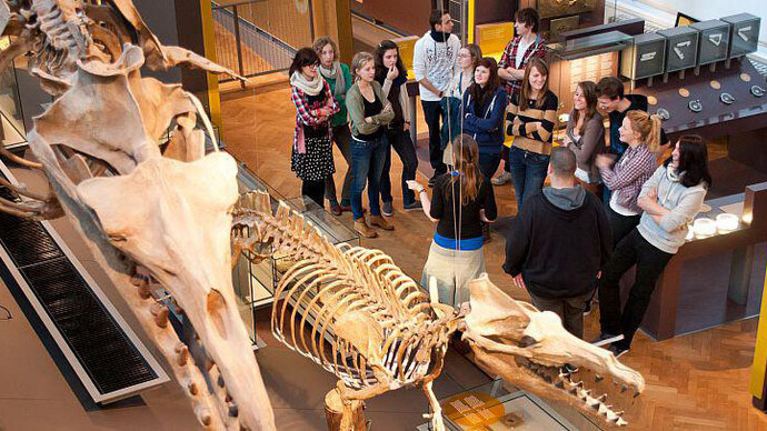 Gallery of Evolution. Courtesy of Royal Belgian Institute of Natural Sciences