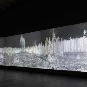 Eija-Liisa Ahtila, Reflexion eines waldes, ausstellungsansicht. Mit freundlicher genehmigung des Serlachius-Museums