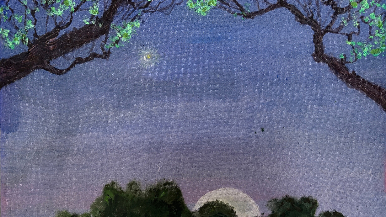Mary DeVincentis, Faith in the morning star (detail), 2026. Courtesy of Freight and Volume Gallery