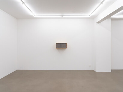 Henrik Håkansson, An ideal for living (The insect societies, prototype), exhibition view. Courtesy of Meyer Riegger Gallery