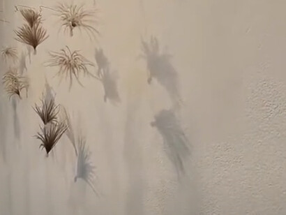 Invita a observar el mundo con una renovada atención a las posibilidades que emergen de la combinación inteligente y sensible de sus elementos constitutivos. "Murmur" (Murmullo), 2020. Pangolin London, Londres, Inglaterra