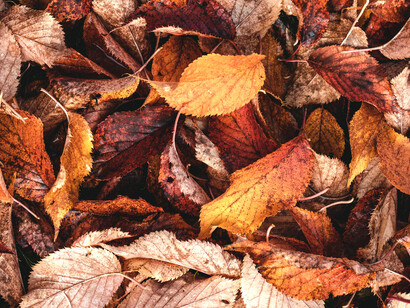 Aquel beso en otoño fue largo y húmedo, igual que nuestro primer beso caribeño en primavera