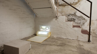 Massimo Ricciardo. Permanent vacation, 2014-15, video-installazione