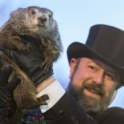 La marmota Phil