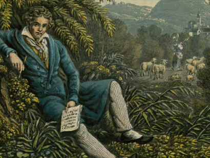 Nell’immaginario popolare Ludwig van Beethoven impersona l'idea del genio creativo che si batte contro le convenzioni