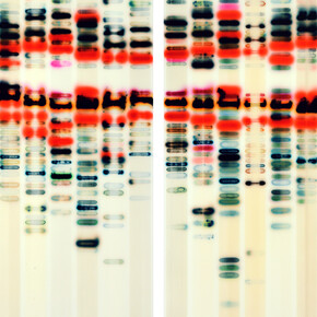 Jaq Chartier. Courtesy of Dolby Chadwick Gallery