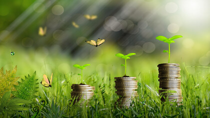 Currency and growth, the future of economics?