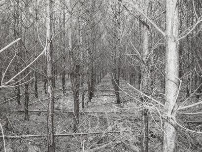 New acquisitions in the art collection of Galeria Bielska BWA, painting in exhibition. Courtesy of Galeria Bielska BWA