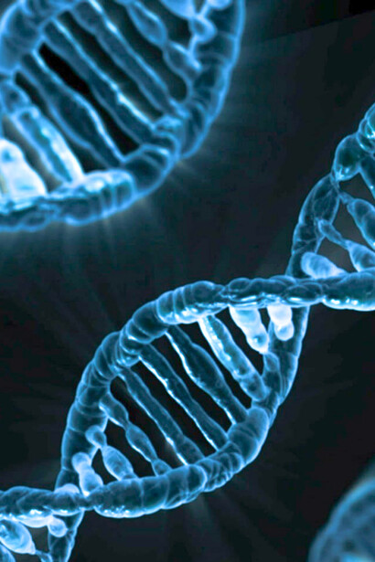 ADN. Quand on m’a dit que j’étais responsable de la maladie qui me rongeait les muscles et des douleurs qu’elle occasionnait, croyez moi, je l’ai hyper mal pris