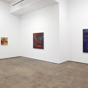 Lindsay Adams, Soil, exhibition view. Courtesy of Sean Kelly Gallery