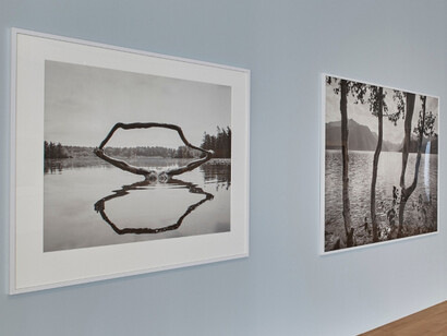 Ray 2018. Courtesy of Museum für Angewandte Kunst