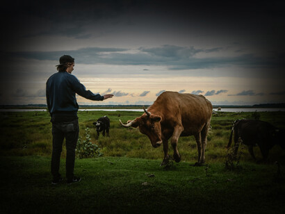 Cambio climático. La industria ganadera contribuye al cambio climático y al calentamiento global de forma directa