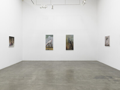 Deborah Davidson. Courtesy of Lora Schlesinger Gallery