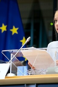 Greta Thunberg, giovane donna attivista per il clima, discute i piani dell'UE per affrontare l'emergenza climatica con la commissione per l'ambiente del Parlamento, (2020). Il mondo maschile si riunisce, discute e progetta di cambiare il mondo o di salvarlo. Le donne ne parlano altrettanto e quotidianamente, mettendo in atto piccoli e grandi gesti che portano a difendere l'ambiente e il futuro