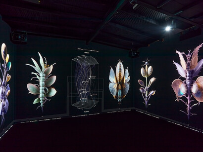 Fuse*: Mimicry, 2025 ® David Biro