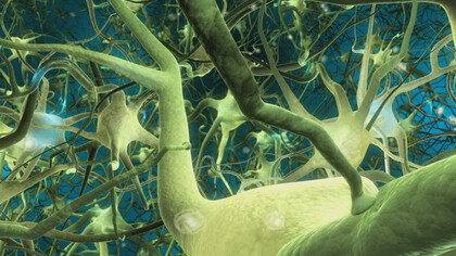 Neuroni