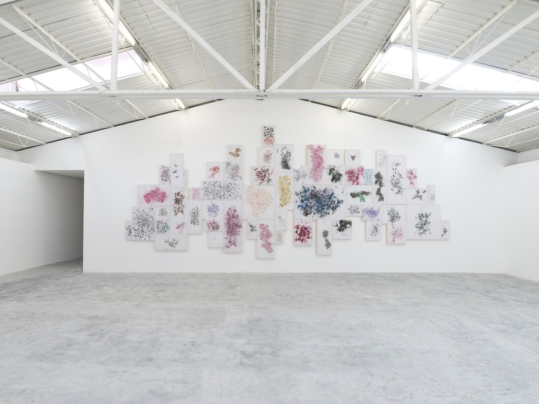 Tercerunquinto, Exhibition view. Courtesy of Proyectos Monclova