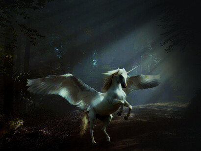 En la Edad Media y el Renacimiento se vendían objetos como polvo de cuerno de unicornio