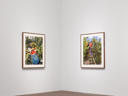 Various artists, About place bay area artists from the Svane gift, exhibition view. Courtesy of Fine Arts Museums