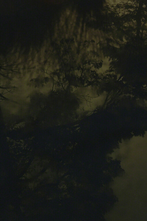 Arno Schidlowski. Courtesy of The Photographers' Gallery