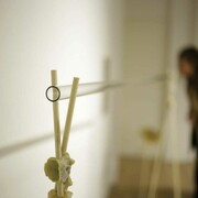 Nelumbo Open Project