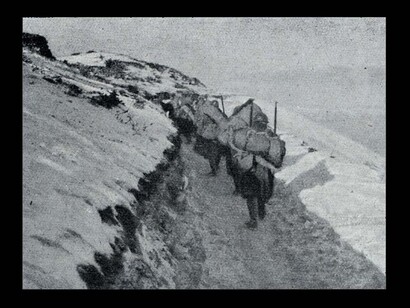 Prima guerra mondiale. Alle pendici del Monte Grappa, (gennaio 1918). La prima guerra mondiale fu l’inizio della parabola discendente dell’Europa