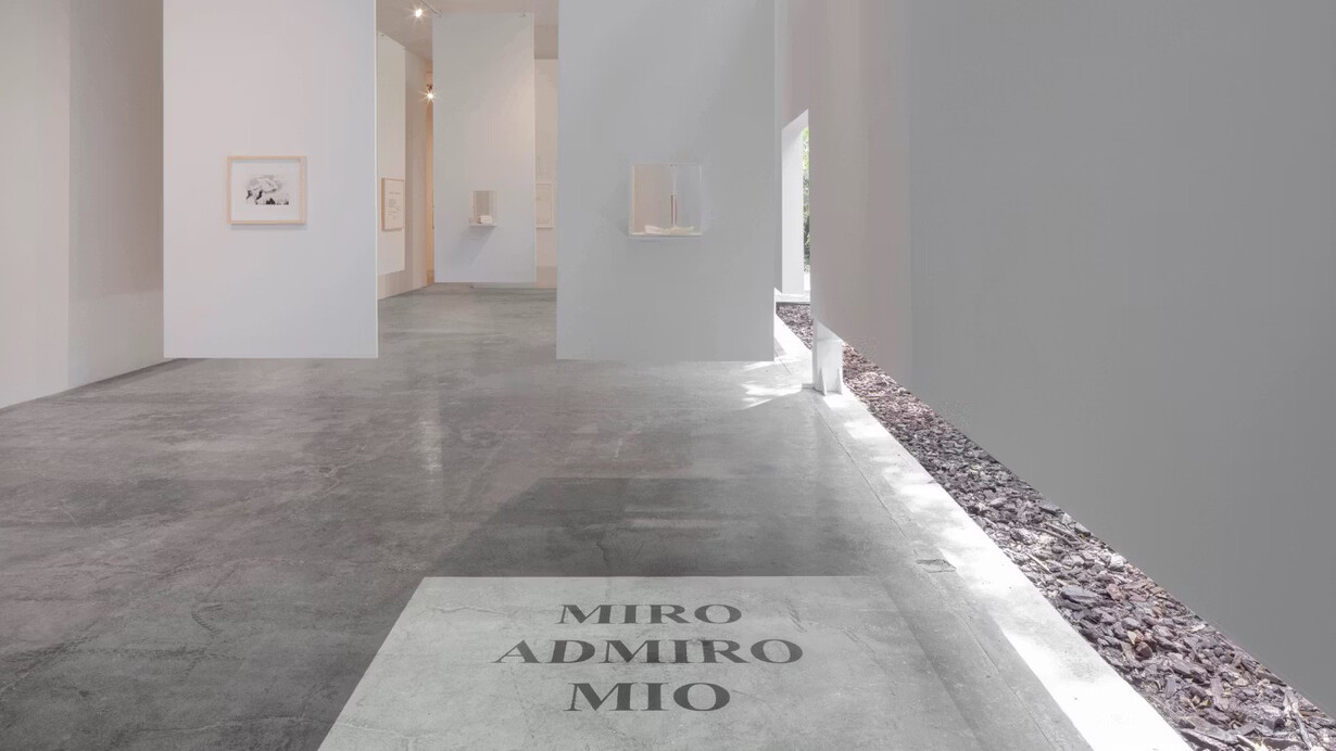 Luis Camnitzer, Una que cubre la palabra que la nombra, vista de exhibición. Cortesía de la Galería Labor