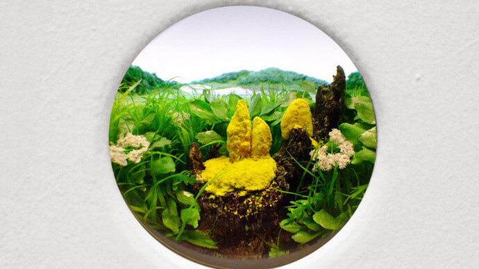 Yellow Slime Mold with Stump, 2015, Diorama viewed with 2 inch (5 cm) lens. Styrene, acrylic, cast neoprene, paper, ash, talc, starch, polyurethane foam, acrylite, vinyl film, wood, steel, lighting, BK7 glass. Concealed box dimensions: 14.75 x 11.25 x 9.25 inches