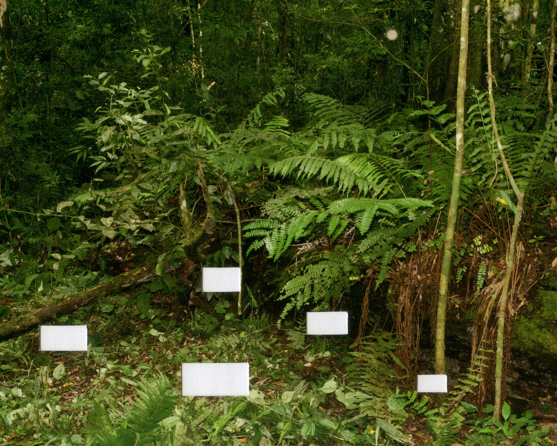 Postcards from Brazil. Courtesy of Casa Nova Arte e Cultura Contemporanea