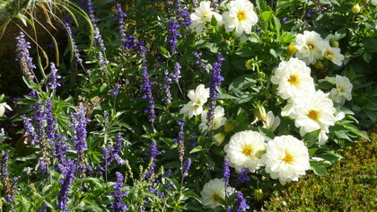 Parigi, giardino dell'Assemblea Nazionale, foto Simonetta Sandri