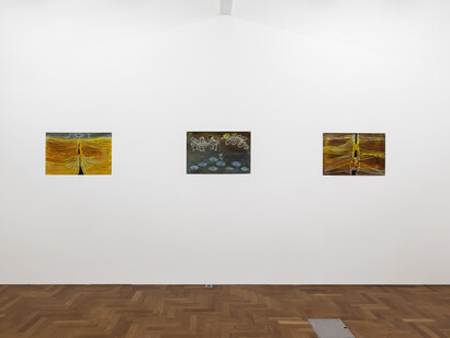 Carla Grunauer, Lumbres, exhibition view. Courtesy of Piedras Gallery