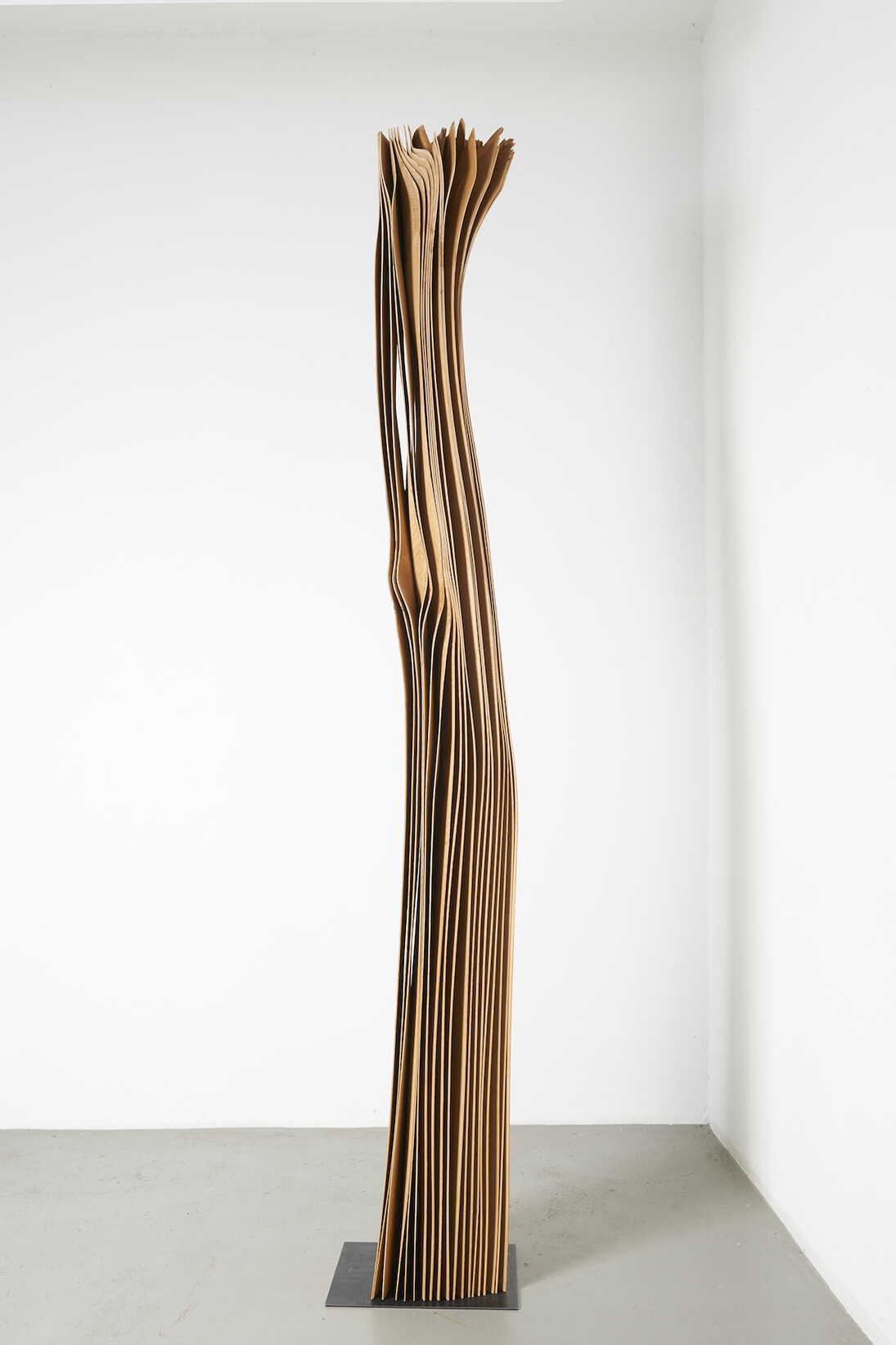 Herbert Golser, untitled, 2013, pear wood, 38 x 30 x 300 cm