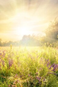 Il rispetto della natura