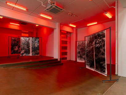 Berit Schneidereit, The interstices of this place, exhibition view. Courtesy of G2 Kunsthalle