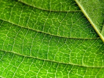 Della complessità occorre fare esperienza, in modo che pensare il complesso e sentire il complesso divengano un’unica cosa 