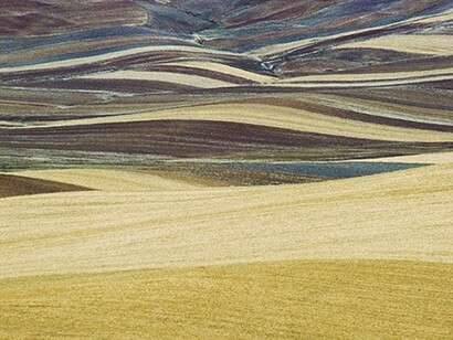 Basilicata 1978