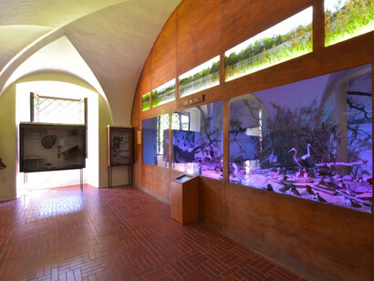 Fishing and Fisheries. Courtesy of National Museum of Agriculture