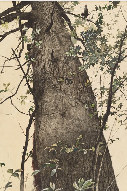 Andrew Wyeth. El roble. 1944. Acuarela sobre cartón. 101,9 x 76,8 cm. © Andrew Wyeth. National Gallery of Art