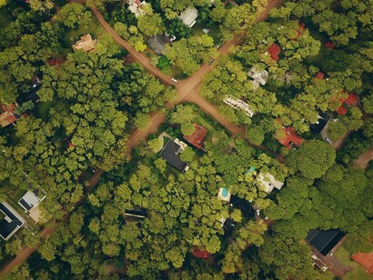 La loro capacità di contrastare il caldo dipende dalla specie, dalla densità della vegetazione, dalla disponibilità d’acqua e dalla conformazione della città