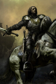 Il Cavaliere del re