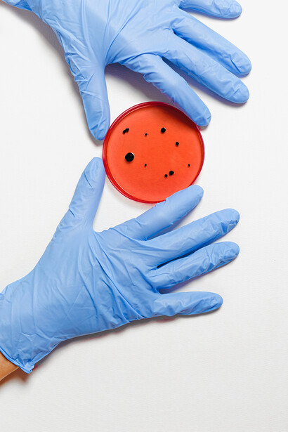 Bactérie Escherichia coli. La bactérie Escherichia coli se nourrit ordinairement de sucres