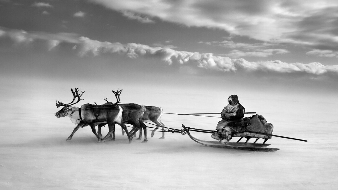 Sebastião Salgado, Nenets, Yamal Peninsula, Siberia, Russia, 2011, gelatin silver print, 20 x 24 inches/50.8 x 61 cm © Sebastião Salgado/Amazonas Images