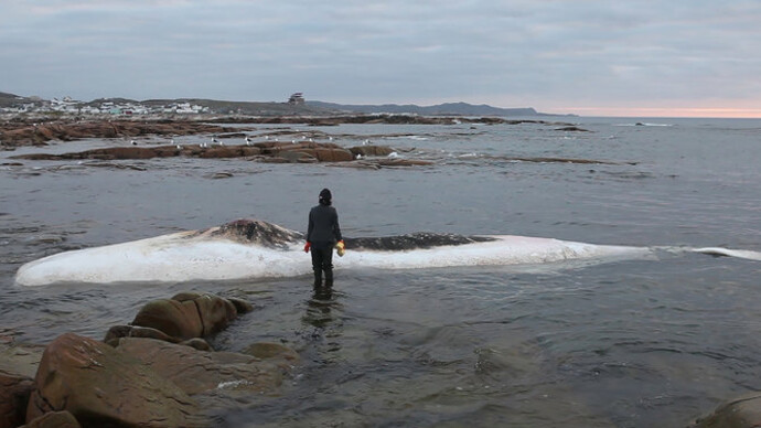 Patty Chang. Courtesy of ICA LA