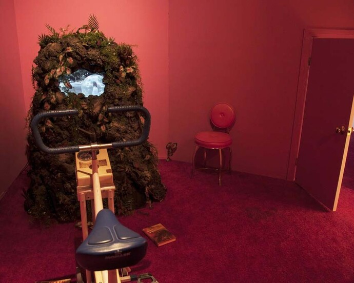 The man who saved a dog from an imaginary fire, Exhibition view. Courtesy of Wilding Cran Gallery