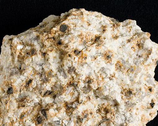 Mineral Hall. Courtesy of Royal Belgian Institute of Natural Sciences