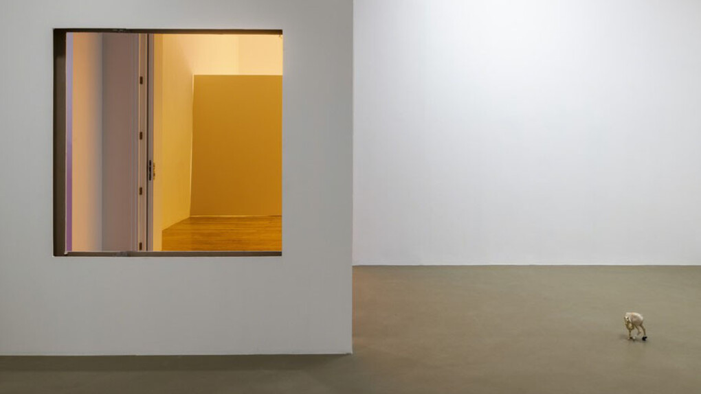 David Douard. Courtesy of Galerie Chantal Crousel
