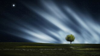 World Environment Day occurs on 5 June every year