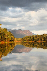Vista del Cerro Autana, estado de Amazonas, Venezuela, desde el río