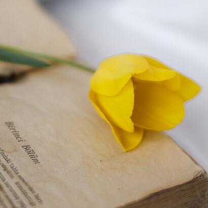 Nelle poesie di Akhmatova e Tsvetaeva convivono l’intensità dell’esperienza personale e il peso della storia, tra eleganza formale e furia visionaria